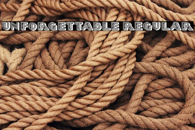 Unforgettable Regular Example 3