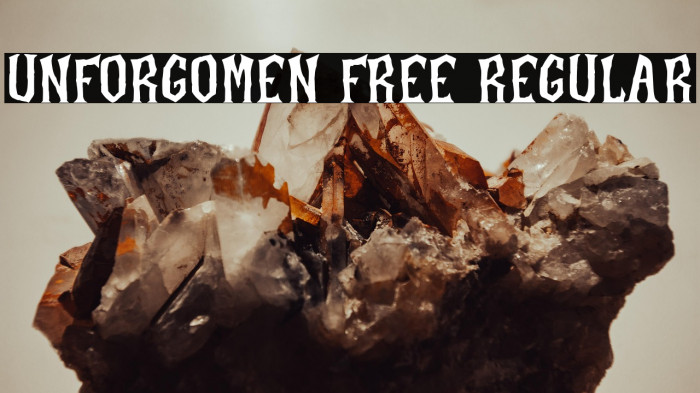 Unforgomen Free Regular Example 3