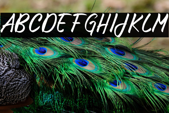 Unforgotten Example 2