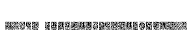 Unger-FrakturZierbuchstaben  Скачать бесплатные шрифты