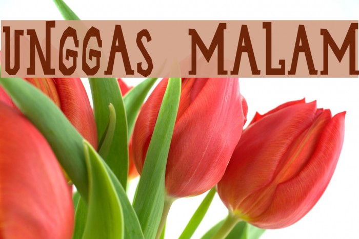 Unggas Malam Font examples