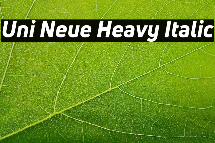 Uni Neue Heavy Italic Example 2