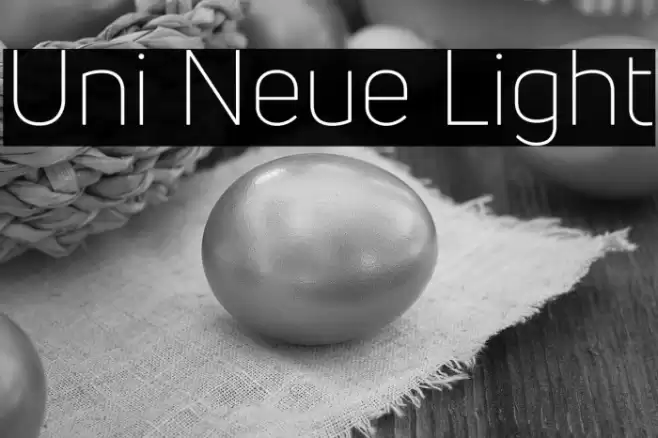 Uni Neue Light Font examples