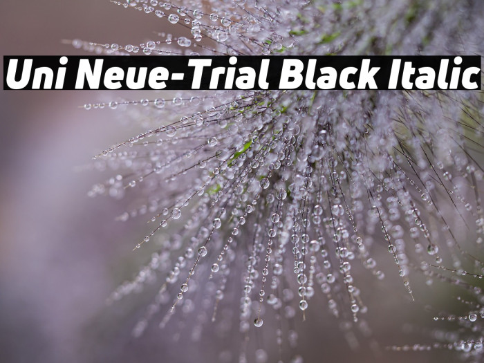 Uni Neue-Trial Black Italic Example 2