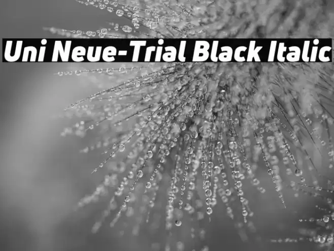 Uni Neue-Trial Black Italic Font examples