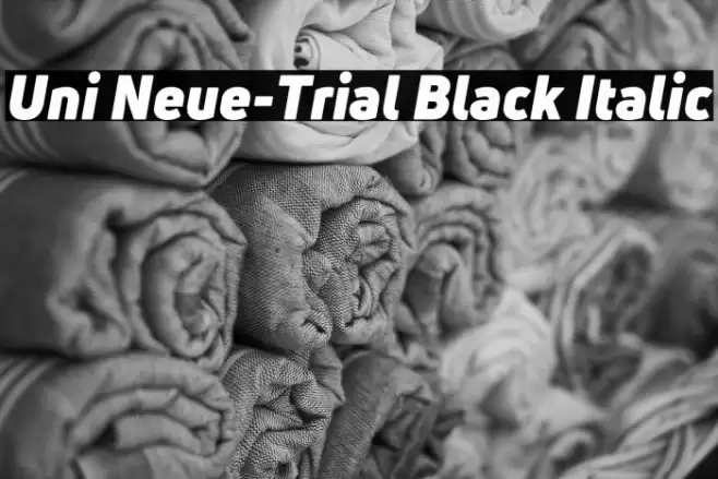 Uni Neue-Trial Black Italic Font examples