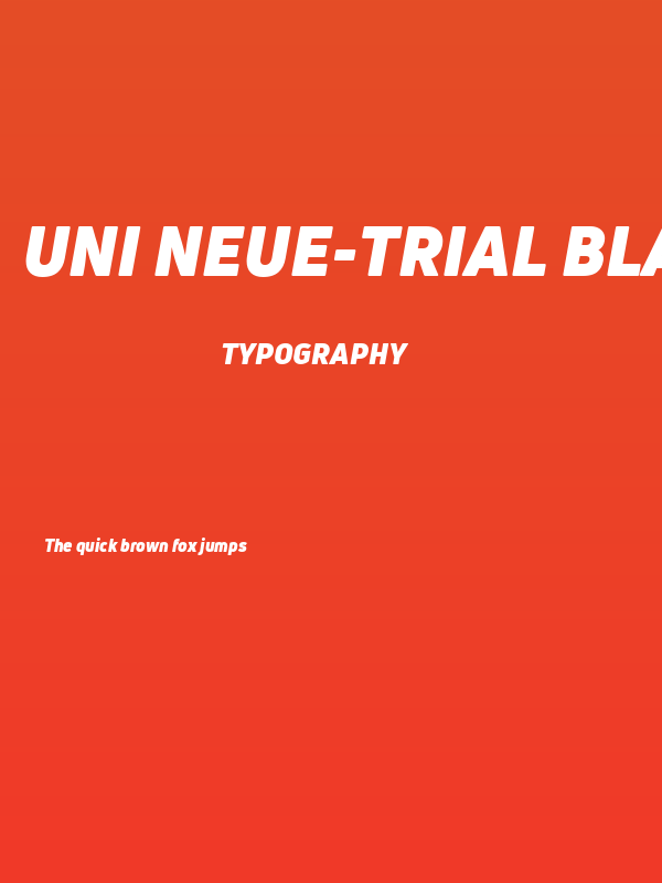 Uni Neue-Trial Black Italic Poster