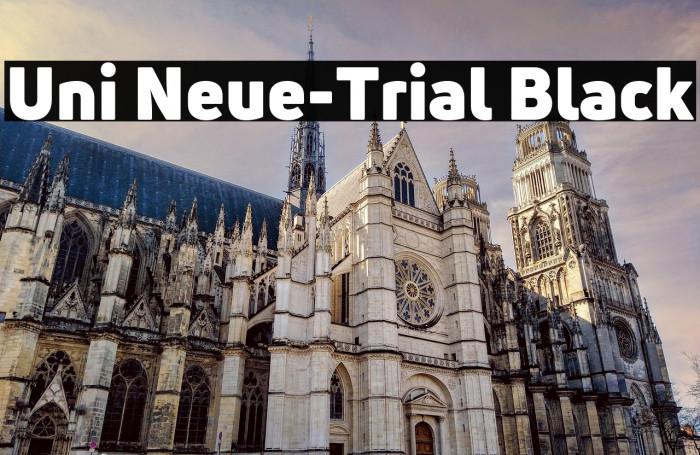 Uni Neue-Trial Black Example 2