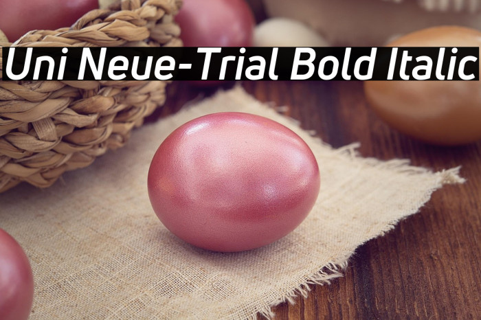 Uni Neue-Trial Bold Italic Example 1