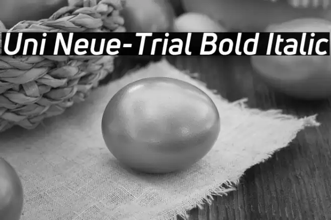 Uni Neue-Trial Bold Italic Font examples