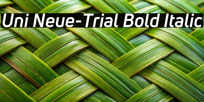 Uni Neue-Trial Bold Italic Example 2