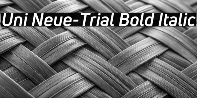 Uni Neue-Trial Bold Italic Font examples