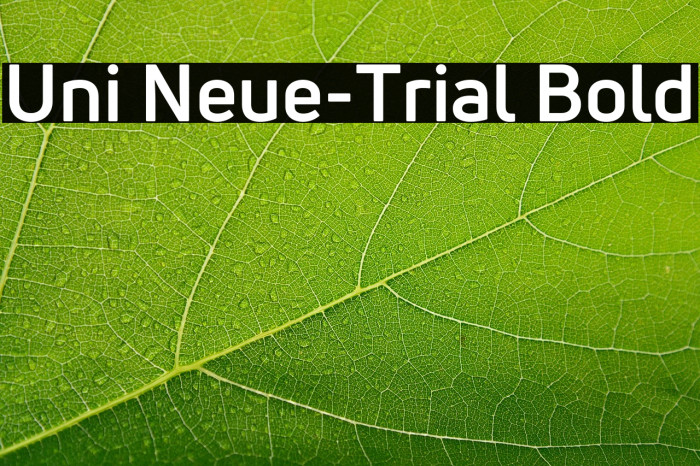Uni Neue-Trial Bold Example 1