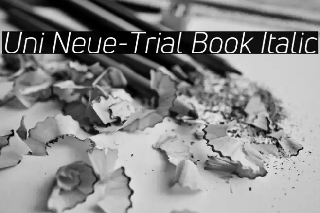 Uni Neue-Trial Book Italic Font examples