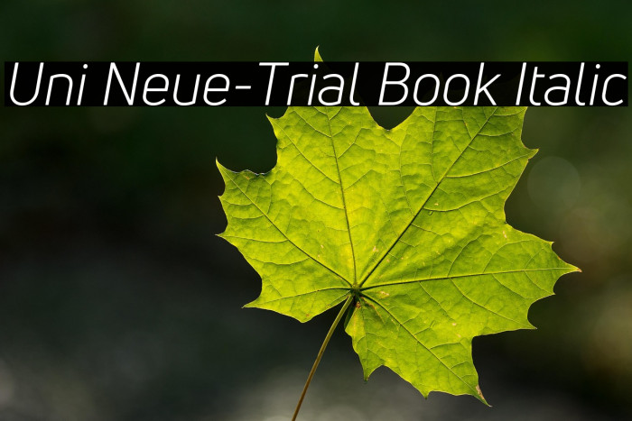 Uni Neue-Trial Book Italic Example 2