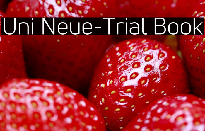 Uni Neue-Trial Book Example 2