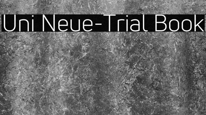 Uni Neue-Trial Book Example 3