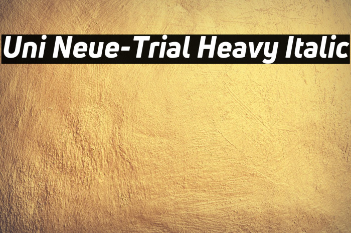 Uni Neue-Trial Heavy Italic Example 3
