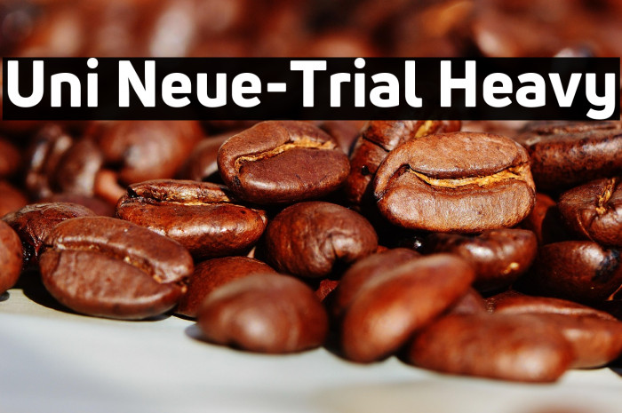 Uni Neue-Trial Heavy Example 1
