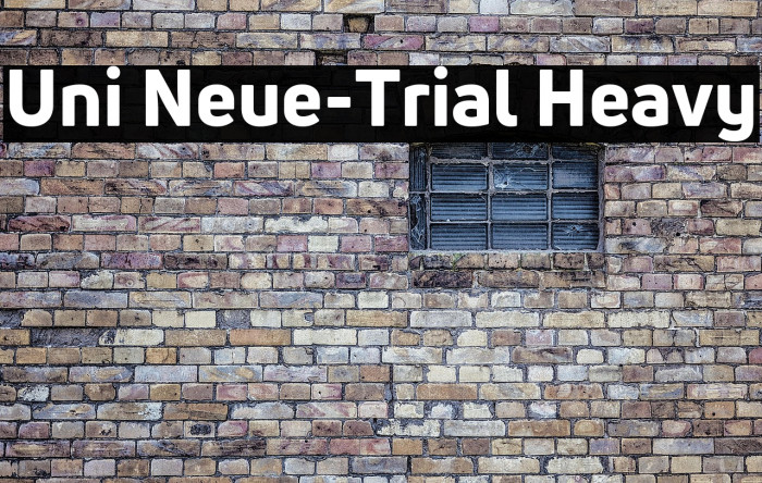Uni Neue-Trial Heavy Example 2