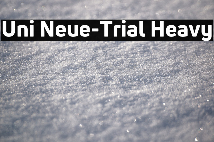 Uni Neue-Trial Heavy Example 3
