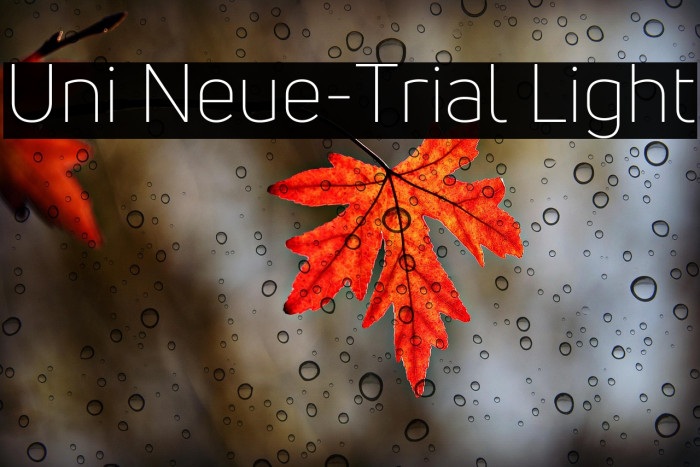 Uni Neue-Trial Light Example 3