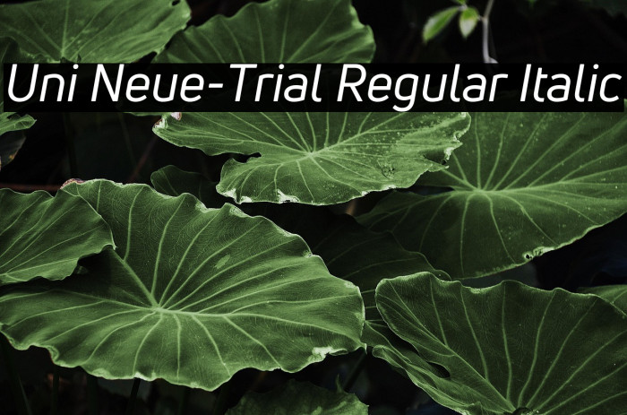 Uni Neue-Trial Regular Italic Example 1