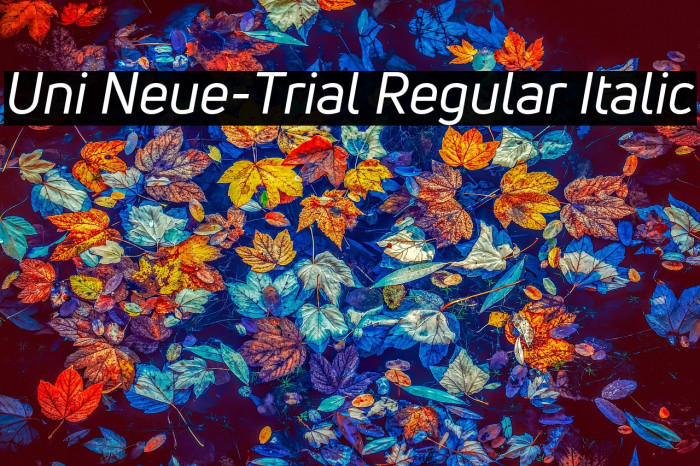 Uni Neue-Trial Regular Italic Example 2