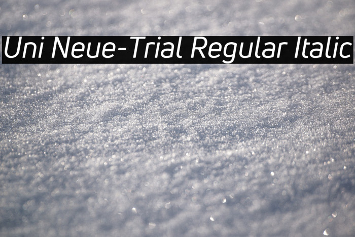 Uni Neue-Trial Regular Italic Example 3
