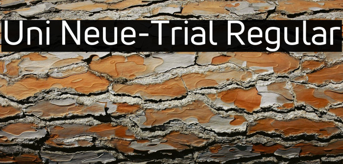 Uni Neue-Trial Regular Example 2