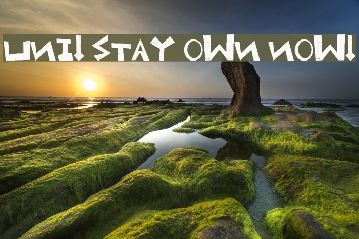 Uni! Stay own now! Font examples