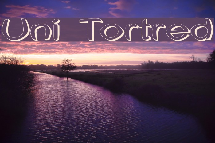 Uni Tortred Font examples