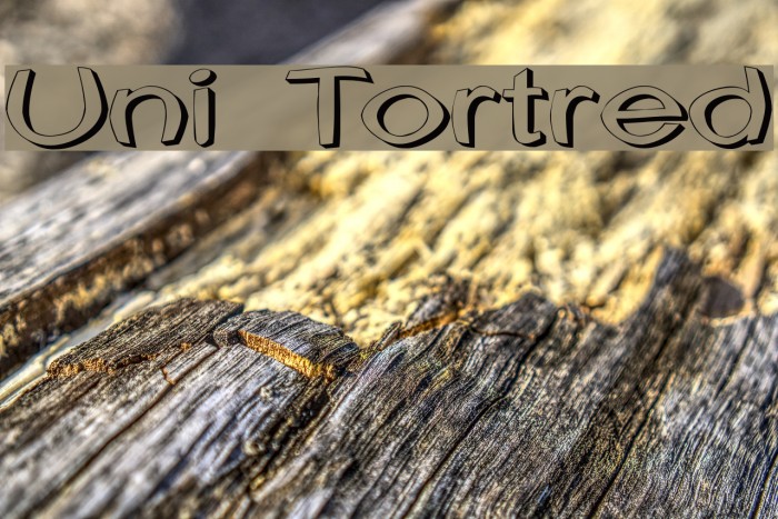 Uni Tortred Font examples