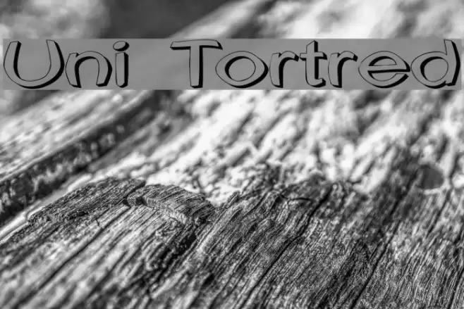 Uni Tortred Font examples
