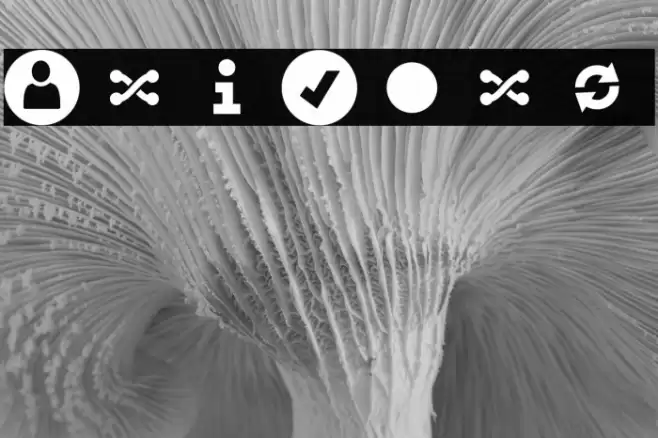 UniCons Font examples