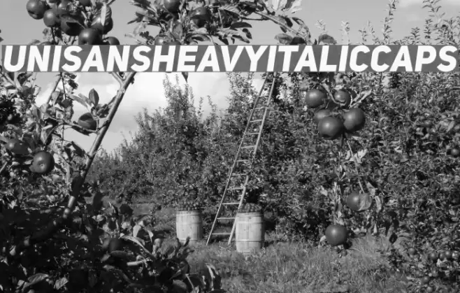 UniSansHeavyItalicCAPS Font examples