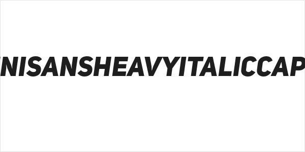 UniSansHeavyItalicCAPS Logo