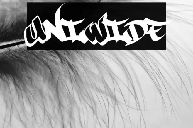 UniWide Font examples