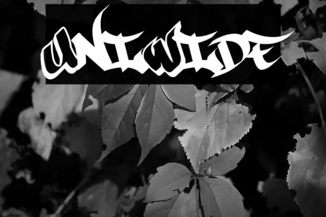 UniWide Font examples