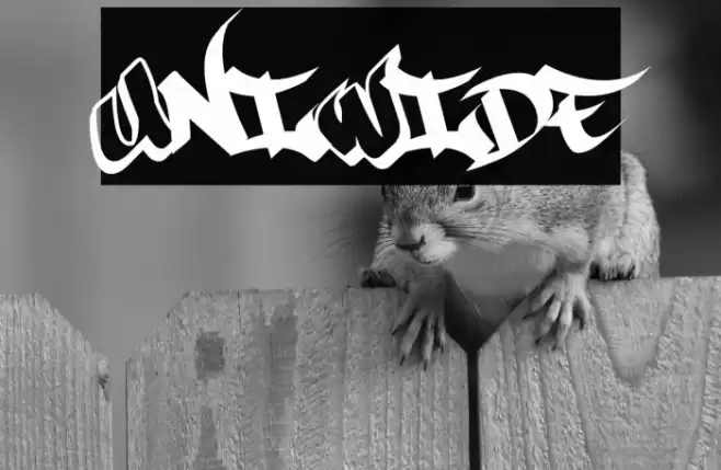 UniWide Font examples