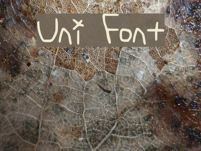 Uni Font examples