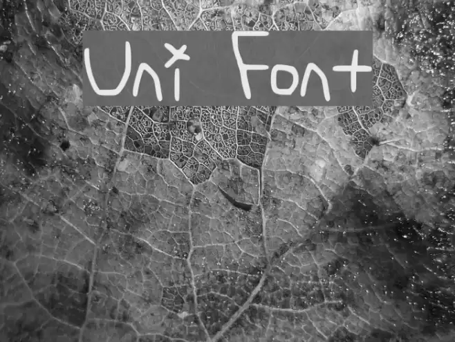Uni Font examples