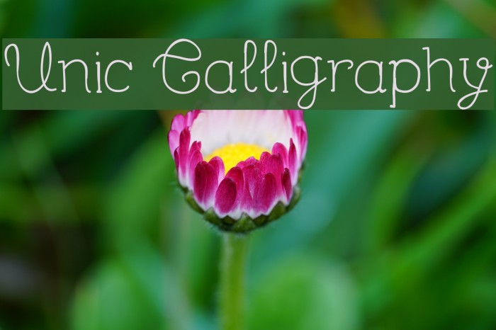 Unic Calligraphy Font examples