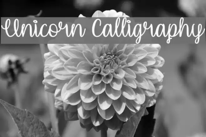 Unicorn Calligraphy Font examples