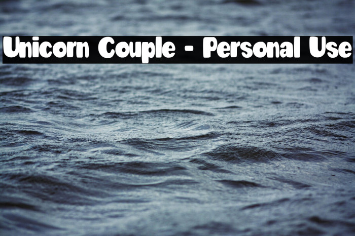 Unicorn Couple - Personal Use Example 2
