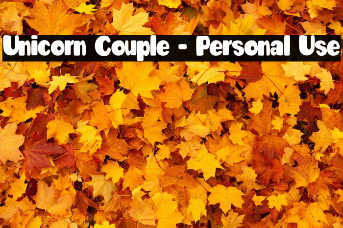 Unicorn Couple - Personal Use Example 3