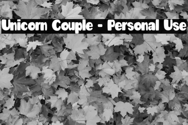 Unicorn Couple - Personal Use Fuentes examples