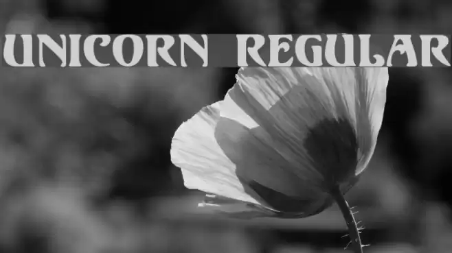 Unicorn Regular Fuentes examples