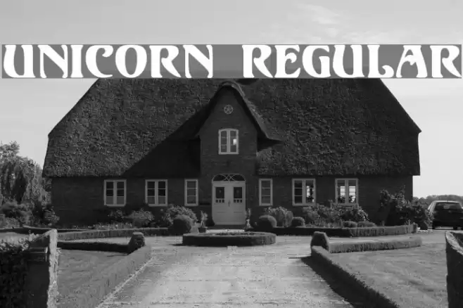 Unicorn Regular Fuentes examples