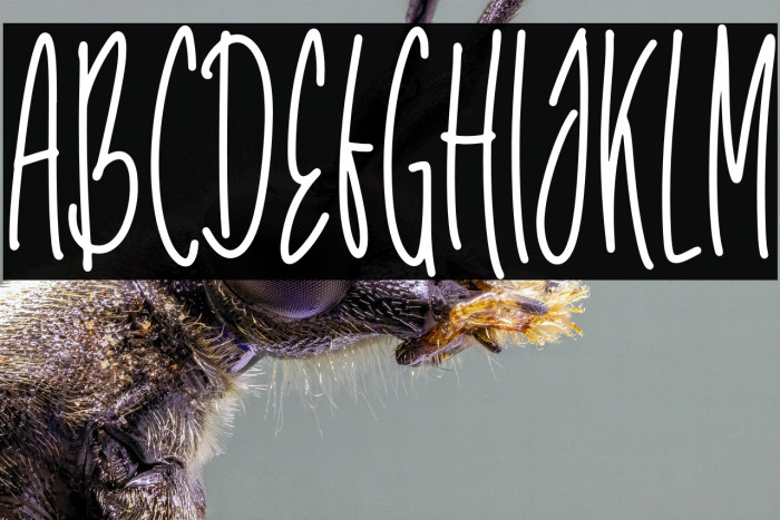 Unicorn Tall Example 1